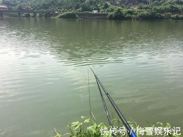 文章|学钓鲢鳙从这篇文章开始,调漂、开饵、抓口都给你讲明白