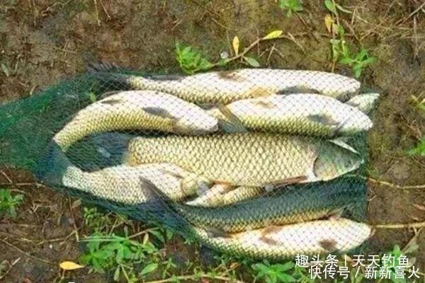 滑漂钓法钓组搭配方法,夏季带漂远投钓大鱼,野钓最实用钓法