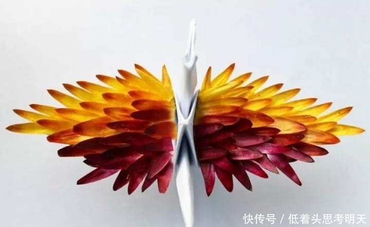 重样|每天折一只千纸鹤,他坚持了1000天不重样,女友被感动到梨花带雨
