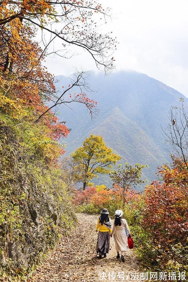 万山红遍|汉中略阳的秋天