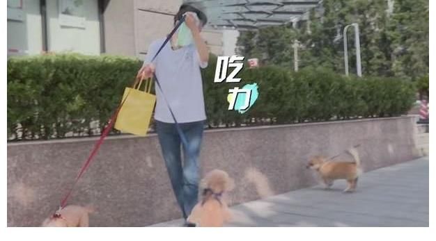 中国老龄协会|刘雪华的独居生活:24小时开着电视,为方便,请了保姆和司机