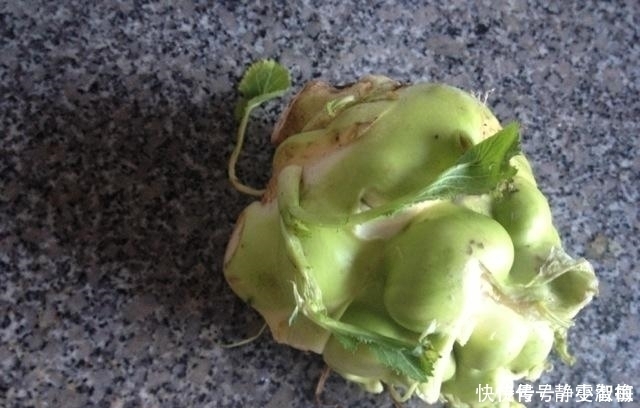 這菜對眼睛好,孩子常吃能護眼,就是有些貴,但有條件要多吃