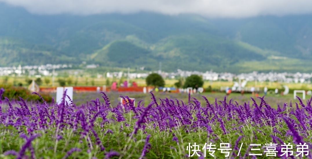 天秤座|7天后，月老牵线，丝竹乱耳，3星座喜迎良缘，顺利牵手，今生不弃