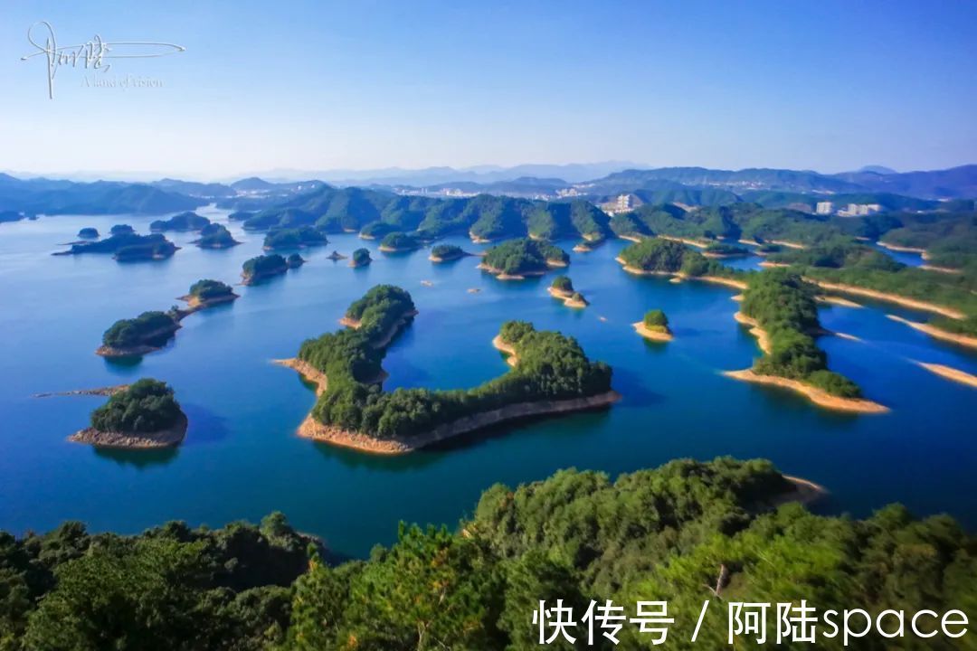 千岛湖景区|野猴伤人推人事件频发,为什么杭州千岛湖景区里的就那么听话?