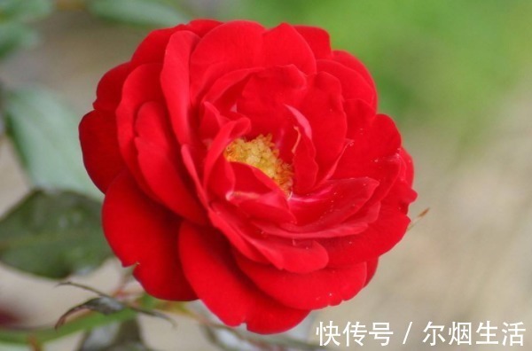 金律!出人头地的4条金律,悟懂其中一条,人生必将福来财到!