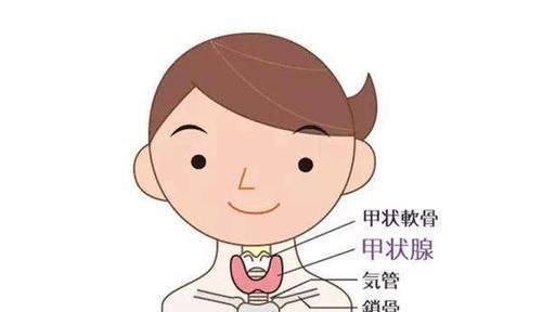 结节|有了“甲状腺结节”,多留心3个方面,可能会避免病情恶化