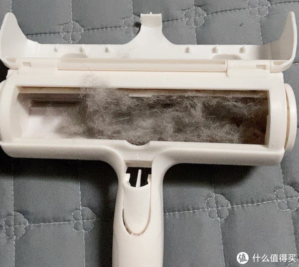 静电|为什么屋子明明是密闭的，家里仍然有很多“毛毛”？该怎么清理？