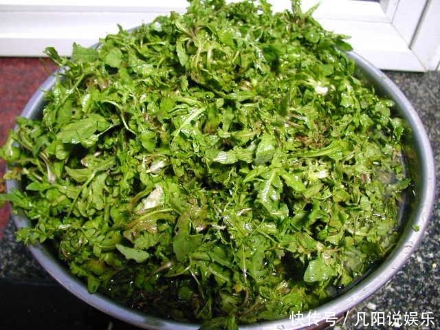 乡村里的人人爱吃的寻常野菜，吃了这么多年才知道它叫荠荠菜