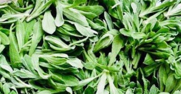 海木耳|每天不妨多吃3种食物，营养丰富、滋润肌肤，好处多多！