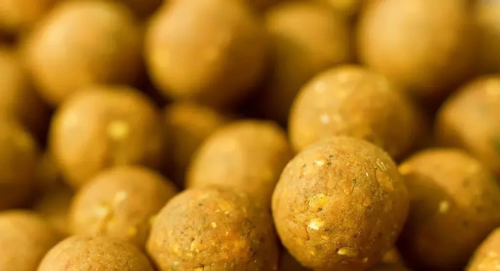 冬季钓鲫鱼,为什么鱼情差?这5个常识性的错误,总有一款适合你