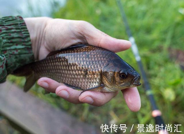 野河钓鲫,钓位这样选,渔获之多,一盆装不下