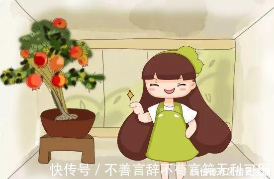 阳台上|还在苦苦养花吗?今年都流行种果树了,开完花就结果,味甜真不错