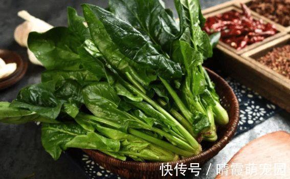 骨质疏松|骨质疏松能不能吃豆腐?86岁骨科院士呼吁:“2绿1白”更要少吃