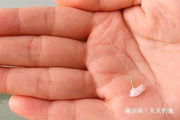 适口性|三伏天钓鲫鱼,鱼口轻微,只需用这几招,鲫鱼连竿上,很过瘾