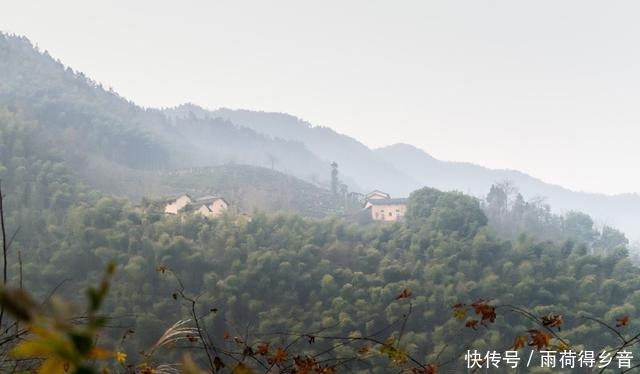 歙县的这个高山村子，满山的橘子随便吃，你知道是哪里吗