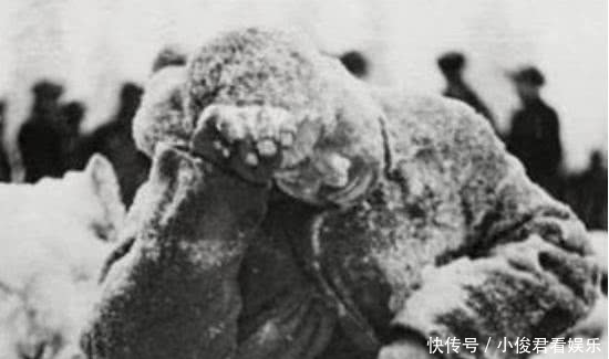 冻死|莫斯科保卫战，德军几十万士兵活活冻死，却宁死不抢苏军衣服穿！