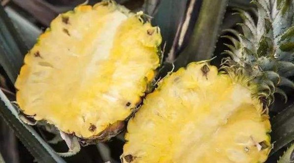 女性养生多吃此物,补气血、去湿气、养护卵巢,子宫越来越好