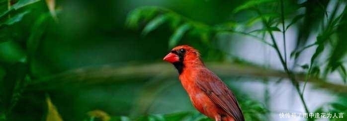 千古绝对!上联:“人向门中闪”,唐伯虎试对的下联太经典了