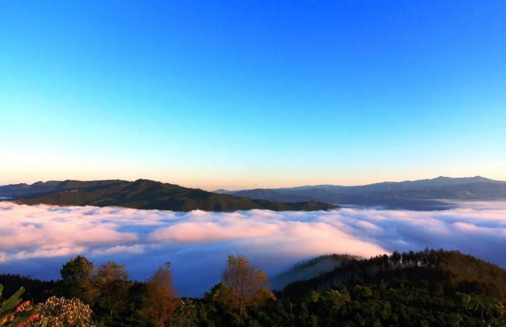 漫步古老茶园，在景迈山做快乐神仙