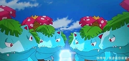 小智|那些拒绝进化的神奇宝贝不是因为它任性，而是为了证明不进化也很强大