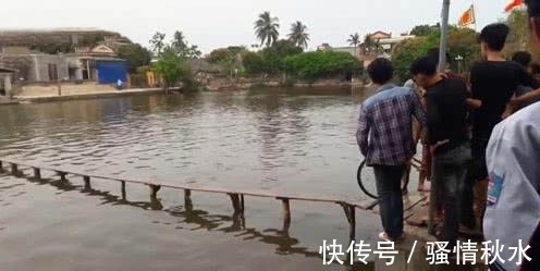 自行车|说真的,这个沙雕自行车比赛,不信有人能拿到5000奖金