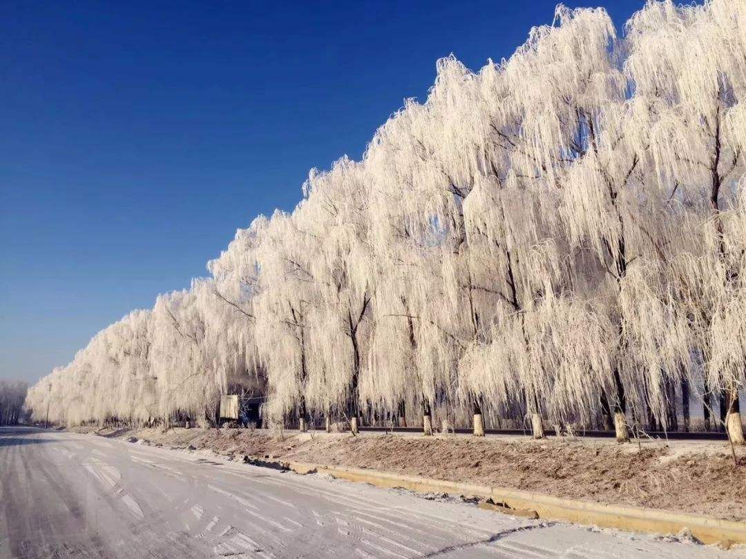  一点红|读睡诗词｜芳心只待痴情客，一点红唇吻镜台