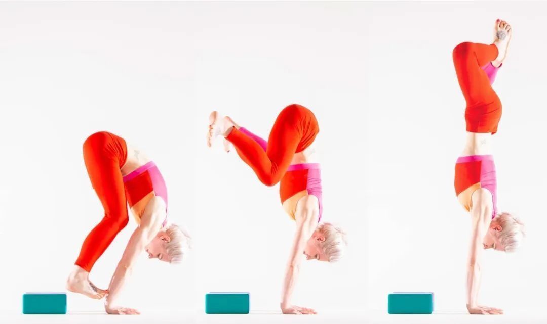 犬式|练瑜伽,不靠墙手倒立起不来这16组准备动作要常练