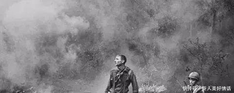 结束|越南战争结束，数10万的越战老兵自尽，原因到底是什么