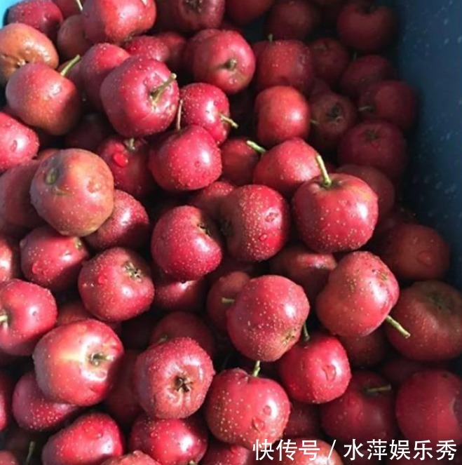 中老年人|丹参和山楂这样吃,疏通血管,活血化瘀,有助缓解心脑血管疾病!