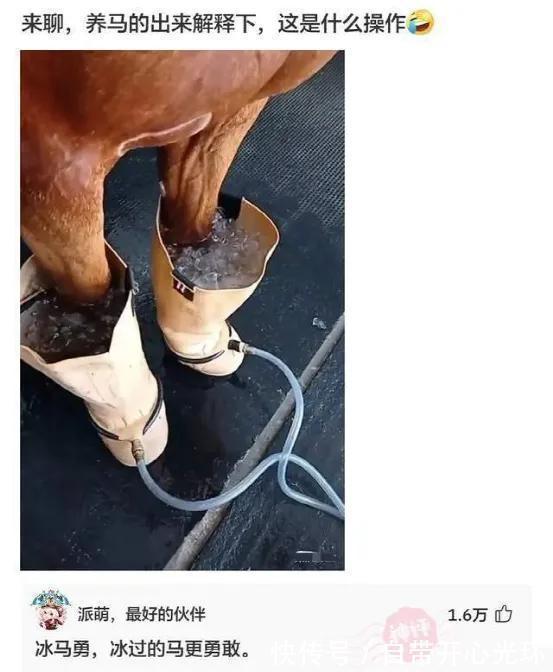 |搞笑：炒米粉里面的BT辣是什么辣