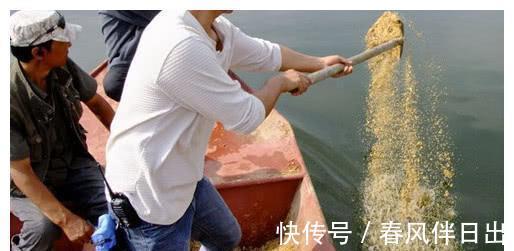 水域|盘点钓鱼圈中最应引起重视的3件事，很多钓友已中招