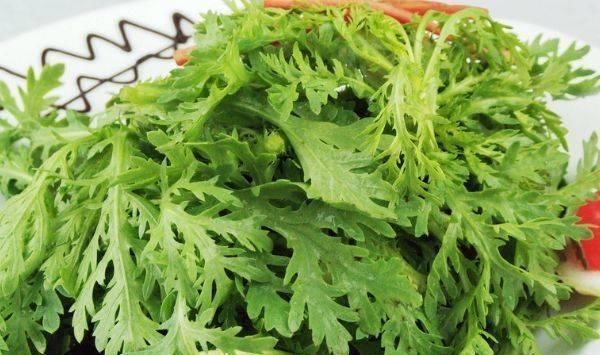 中年|适合女性吃的3种食物,排毒养颜、延缓衰老,身体棒棒哒