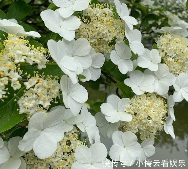 大唐|阳春三月,春回大地,三月赏花好去处