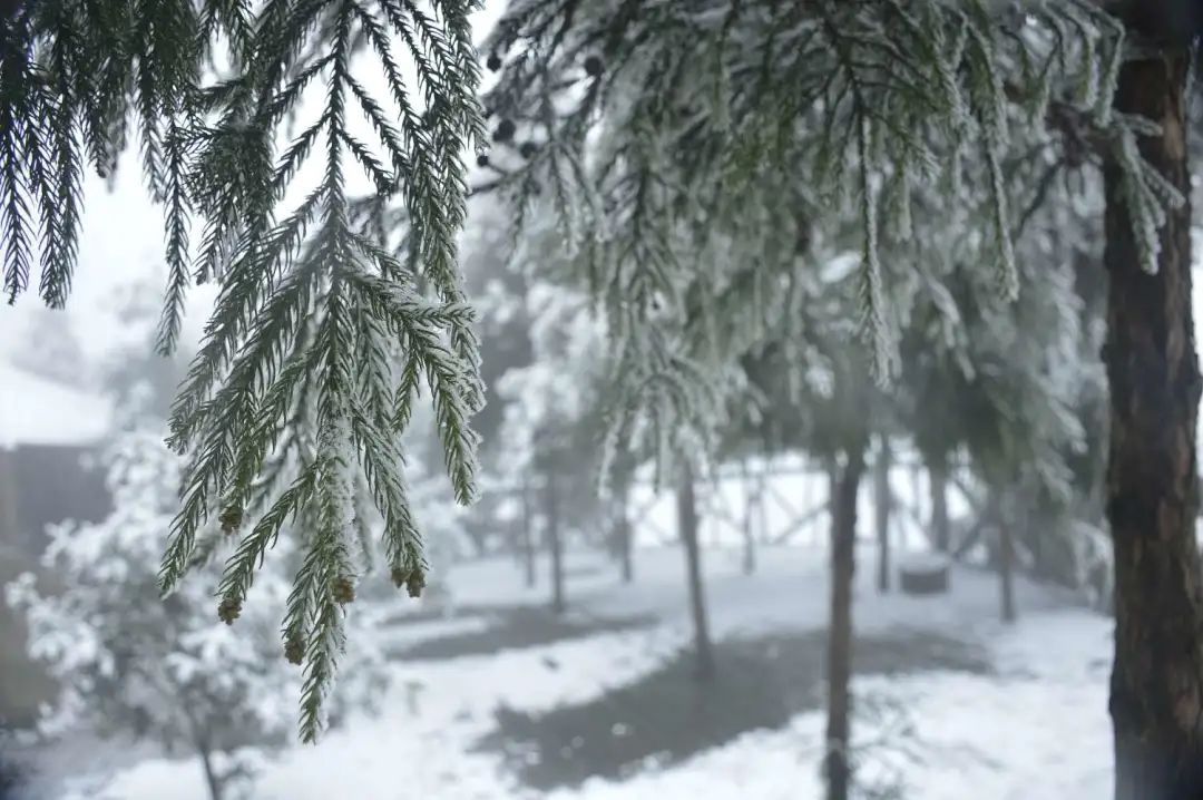 冰雪|绝美雪景！古蔺邀请你来体验“冰雪奇缘”