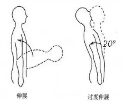 健身|48岁开始健身，撸铁16年，64岁时这身板和姿态，还能再美半个世纪
