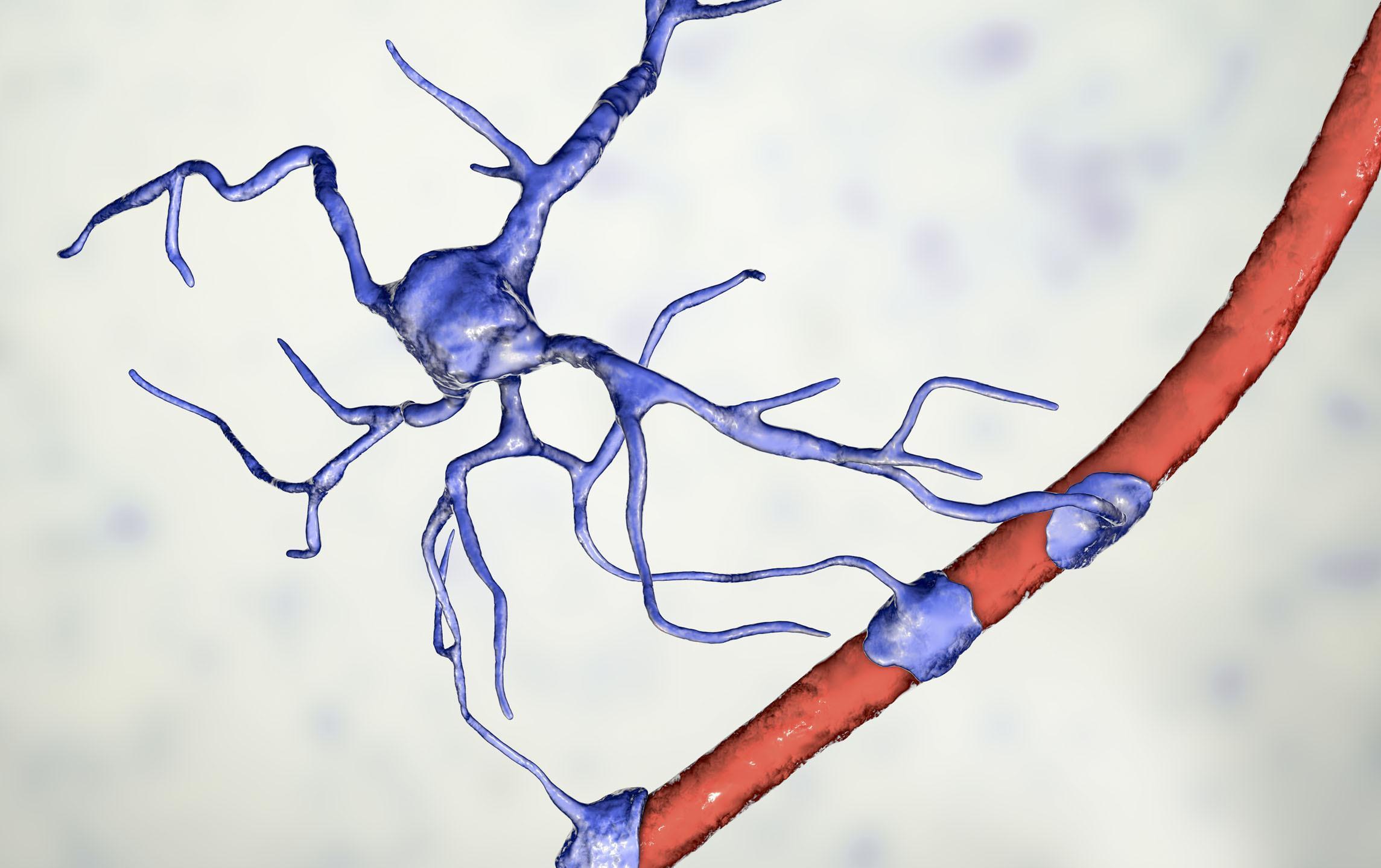 血管健康|“溶栓高手”已揭晓，3种常吃的食物上榜，看看有没有你喜欢吃的