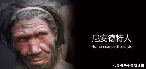 洞穴|考古学家进入地下洞穴,发现23万年前的人类,有着诡异的一面