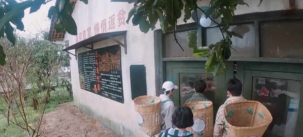 蘑菇 《向往5》仅开播一期,节目组就栽了两个大跟头,这一季真变味了