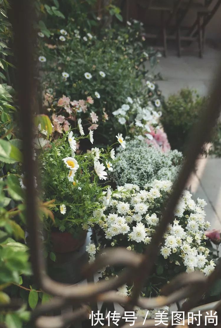 130㎡大露台,花1年改造成“花草蔬果园”,体验屋顶上的田园生活