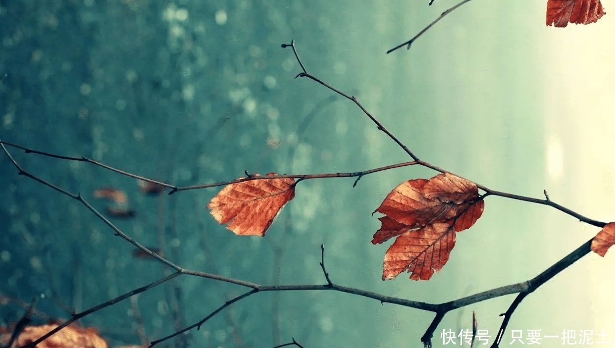 远离“养不熟”的人,距离是对自身的保护!