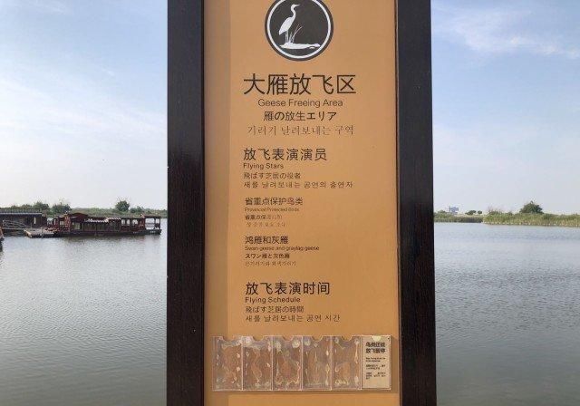 黄河入海口景区，季节不对名不符实且多处维护，怪不得大家都吐槽