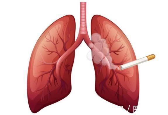 油烟|气多伤肺?提醒:这5种伤肺的“气”,劝你可别不当回事
