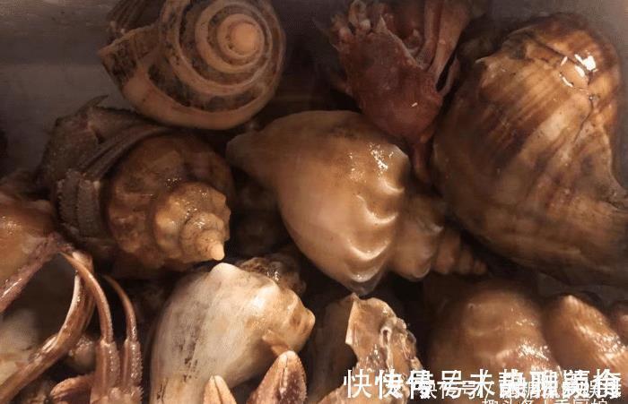 海兔|误认为是“大海螺”,花250块钱买6斤,回家上锅一蒸,太惊喜了
