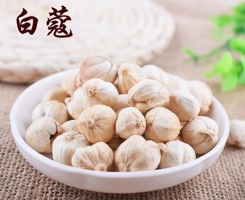 中药古今研究：豆蔻（白豆蔻）