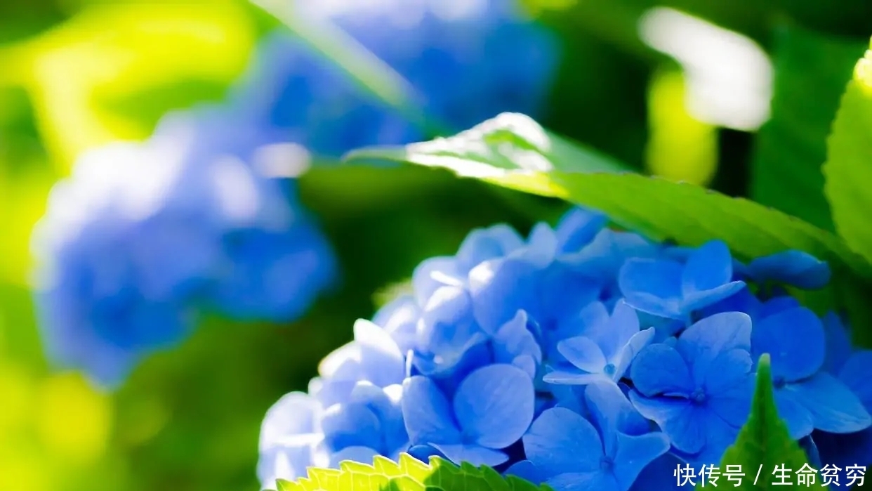 身边|人生:善待身边的这四个人,福运不请自来