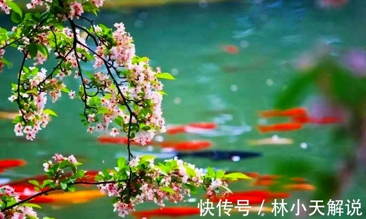 王维$三首唐诗写春天,春光春色春满园,读经典恍若神游胜景一“耍仙”