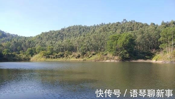 鱼头|广东一水库里的鱼集体“瘦成长条”,钓鱼人:幸好被我钓起来了