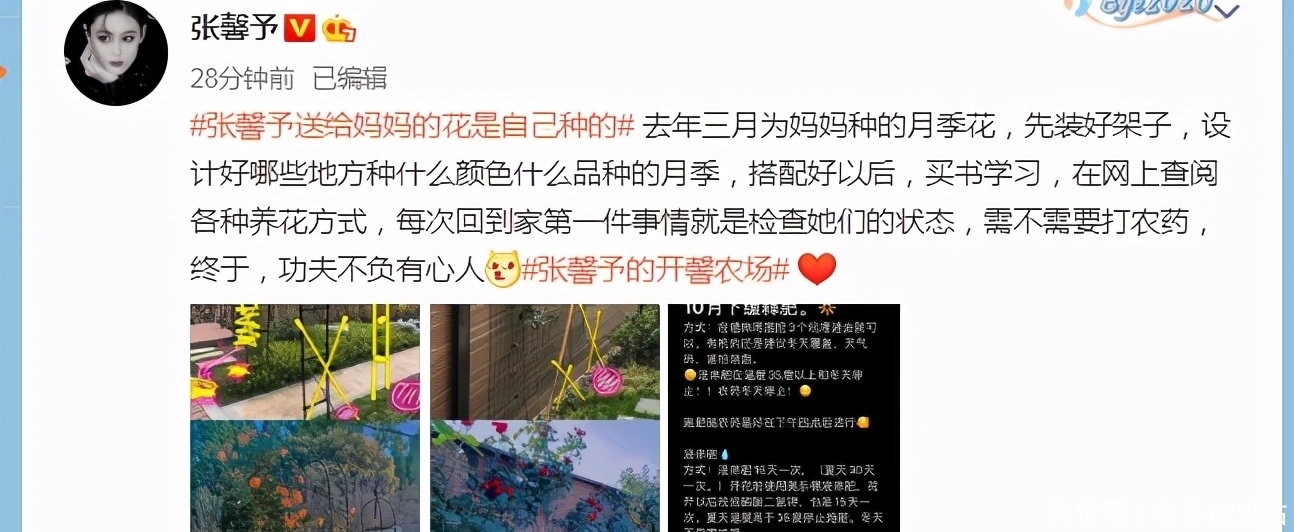 张馨予:“种花侍母”表孝心,母亲节前一天将一园子月季送给妈妈