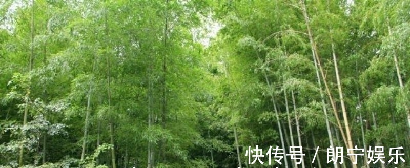 杨万里@范成大最经典的一首六言绝句,同样也被低估了,通篇美得令人心醉