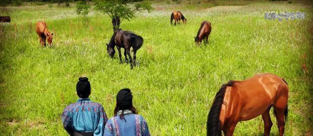 商纣王|周武王分封时并无秦国，那它是怎么来的又是如何变成超级大国的